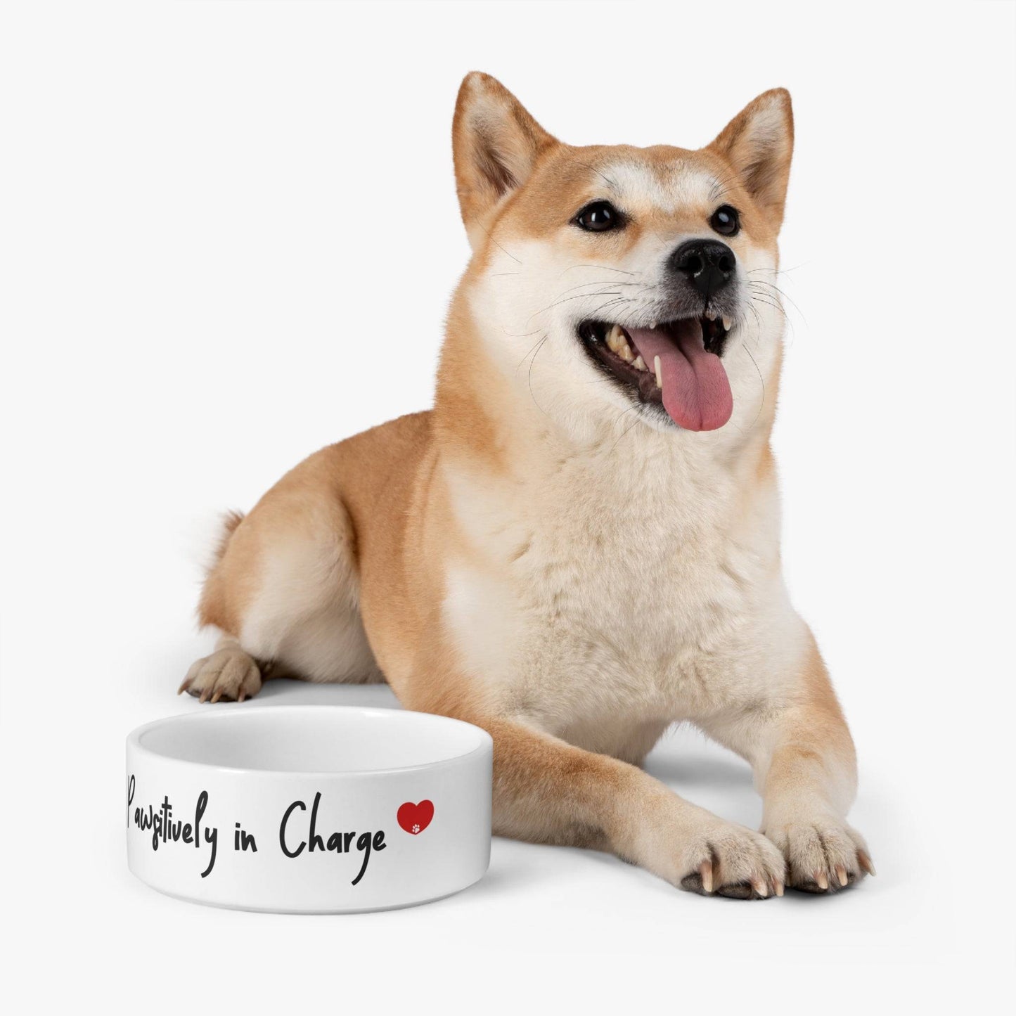 Pawsitively in Charge Pet Bowl - SheCanBoss